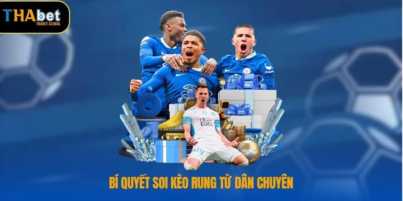 Bí quyết soi kèo rung từ dân chuyên