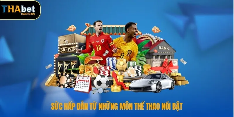 Sức hấp dẫn từ những môn thể thao nổi bật